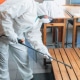 Fumigación de cucarachas: métodos y consejos profesionales fumigacion-cucarachas