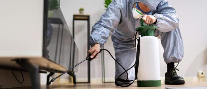 ¿Necesitas un certificado de control de plagas? Todo lo que debes saber ¿Necesitas un certificado de control de plagas? Todo lo que debes saber