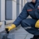 Desratización preventiva: ¿la mejor opción para evitar infestaciones? 2509-desratizacion-preventiva