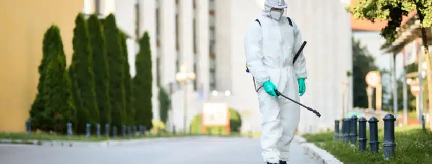 Cómo prevenir plagas en comunidades de vecinos: claves para evitar infestaciones y sanciones 260301_prevenir_plagas_comunidades_vecinos